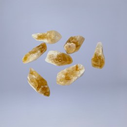 Citrin brut 5-15g